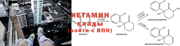 соль ск Горно-Алтайск