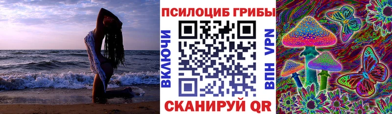 Галлюциногенные грибы MAGIC MUSHROOMS ОМГ ОМГ онион Данилов даркнет сайт